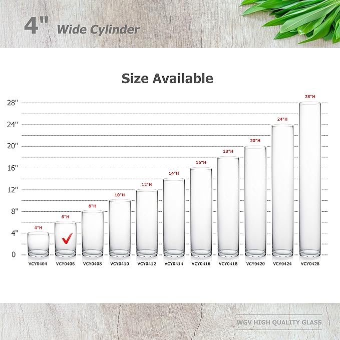 WGVI Quality Thick Weighted Clear Cylinder Glass Vases, 4" W x 6" H, Flower Arrangement Glass Candle Holders Wedding Centerpieces Terrarium Planter Pen Brush Storage Container, Bulk Wholesale, 6 Pcs