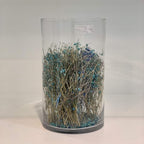 WGV Cylinder Vase, Width 8", Height 12", Clear Wide Large Diameter Flower Glassware, Floral Container, Planter Terrarium for Wedding Party Event, Home Accent Decor, 1 Piece