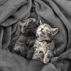 Utopia Bedding Fleece Blanket Full Size Grey (90x84 Inches) Ultra Soft Warm Lightweight Microfiber Breathable Anti-Static Cozy Winter Bed Blanket, All-Season Home Decor Gift for Men & Women