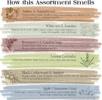 Raajsee Natural Incense Sticks Variety Pack with Incense Stick Holder, Pack of 6 Organic Insence Sticks,120 Inscents-Sticks, Meditation Gifts for Spiritual Cleansing - Organic Incense Sticks Non Toxic