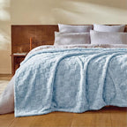 Bedsure GentleSoft Blankets Queen Size for Bed - Super Soft Cozy Blanket for Women Men Girls, Large Fuzzy Fleece Throw for Bedroom Decor, Light Blue, 90x90 Inches