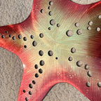 LiveInUrban Coastal Wall Art Starfish Metal Wall Sculptures, Ocean Beach Themed Metal Hanging Home Decoration 3PCS 15.6"x12.7"