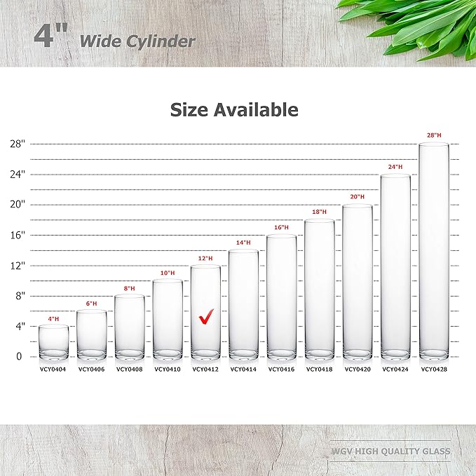 WGVI Quality Thick Weighted Clear Cylinder Glass Vases, 4" W x 12" H, Flower Arrangement Floating Candle Holders Wedding Centerpieces Terrarium Planter Floral Storage Container, Bulk Wholesale, 6 Pcs