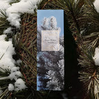 COCORRÍNA Reed Diffuser - Maine Winter Balsam Reed Diffuser Set with 8 Sticks & Preserved Baby's Breath, Reed Diffuser for Home Bathroom Shelf Decor