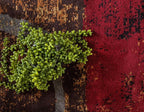 Unique Loom Barista Collection Area Rug - Kouillou (6' 1" x 9' Rectangle, Multi/ Brown)