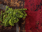 Unique Loom Barista Collection Area Rug - Kouillou (4' 1" Round, Multi/ Brown)