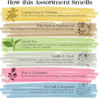 Raajsee Incense Sticks Organic Non Toxic - Pack of 6 Natural Inscents with Insence Holder -120 Sticks, Clean Burn, Boho Gift Set, Palo Santo & Sandalwood, Vanilla Musk, Rose, Green Tea, Lemon Grass