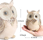 Owl Statue for Home Decoration for Shelf Bookshelf OfficeTable Indoor Decor Accents Adorable Big Eye Owl Statues and Sculptures Animal Owls Gift for Bird Lover Cute Figurine