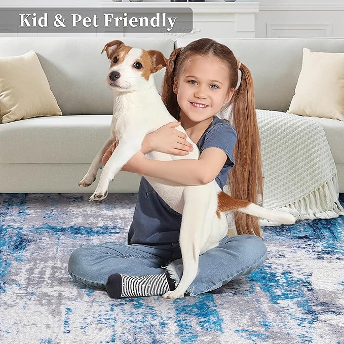 Ciicool Abstract Area Rug Indoor, 3x5 Washable Entryway Rug, Modern Soft Throw Rug with Non-Slip Backing Ideal for Bedroom Living Room Entrance Kitchen, Low-Pile Floor Carpet Doormat Grey Blue