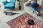 Keen Home Design 5x7 Rug - Machine Washable Area Rug with Non-Slip Backing, Ideal for Living Room, Dining Room, Bedroom - Vintage, Easy Clean, Durable, Low Pile Rug - (5' x 7')