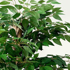 VECELO Artificial Ficus Tree with Sturdy Nursery Pot, 5FT Faux Silk Plant for Indoor Outdoor Home Garden Decor, 1 Pack