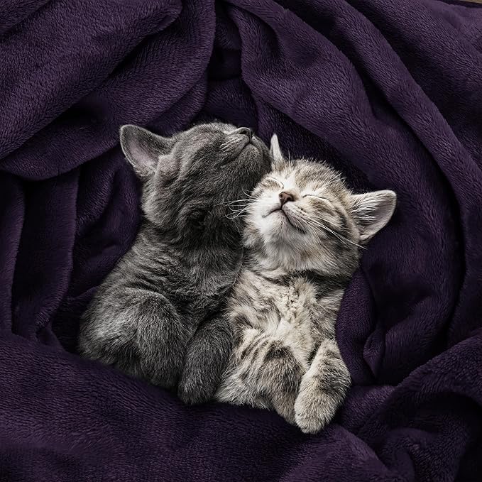 Utopia Bedding Fleece Blanket Throw Size Purple 300GSM Luxury Anti-Static Fuzzy Soft Microfiber Blanket for Couch, Sofa and Bed (50x60 Inch)