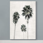 Renditions Gallery Canvas Nature Wall Art Modern Paintings & Prints Decor Vintage Palm Trees Sketch Black & White Abstract Wall Hanging Artwork for Bedroom Office Kitchen - 12"x18" LT06