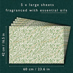 The Master Herbalist Fragrant Scented Drawer Liners in a William Morris Inspired Design | Pack of 5 Sheets | Contains Essential Oils | Made in The UK (Fresh Linen)