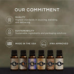 Eternal Essence Oils Carnival Sweets Set of 6 Premium Fragrance Oils - Candy Corn, Salted Caramel Pumpkin, Candy Concoction, Summer Boardwalk, Spiced Caramel Pear, and Maple Pecan Scented Oils - 10ML