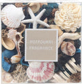 Qingbei Rina Seashell Potpourri Dried Flowers, Ocean Breeze Scented Potpourri Bowl Filler,Vase Filler,Home Fragrance, Beach Coastal Sea Shell Bathroom Decor,14 oz(Blue)