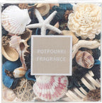 Qingbei Rina Seashell Potpourri Dried Flowers, Ocean Breeze Scented Potpourri Bowl Filler,Vase Filler,Home Fragrance, Beach Coastal Sea Shell Bathroom Decor,14 oz(Blue)