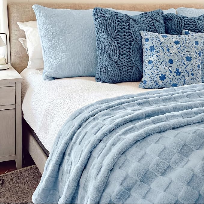 Bedsure GentleSoft Twin Blanket for Bed Light Blue - Super Soft Cozy Blankets for Women Men Girls, Cute Fuzzy Fleece Throws for Bedroom Couch, 60x80 Inches
