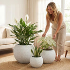 DTY Signature Mount Sherman 21.3''D x 16.5''H Modern Indoor Outdoor Fiberstone Sphere Planter, Durable Round Garden Pot, Weather Resistant, Drainage Hole & Rubber Plug (Ribbed White, Large)