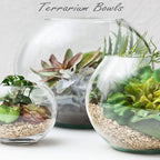 CYS EXCEL Large Glass Bubble Bowl (H-13.5" W-15.25", Approx. 9 Gal.) Round Bowl Terrarium Globe Flower Vase Centerpiece for Weddings Events Arrangements