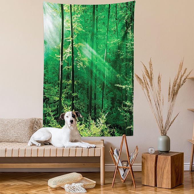 Ambesonne Forest Tapestry Queen Size, Sun Rays Bursting into the Forest Trees Foliage Misty Morning Serenity Picture, Wall Hanging Bedspread Bed Cover Wall Decor, 88" X 88", White and Green
