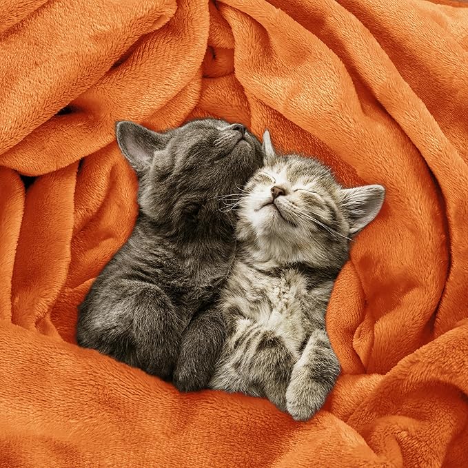 Utopia Bedding Fleece Blanket King Size Burnt Orange 300GSM Luxury Fuzzy Soft Anti-Static Microfiber Bed Blanket (90x102 Inch)