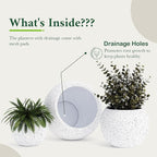 DTY Signature Mount Sherman 12.6''D x 9.8''H Modern Indoor Outdoor Fiberstone Sphere Planter, Durable Round Garden Pot, Weather Resistant, Drainage Hole & Rubber Plug (Ribbed White, Small)