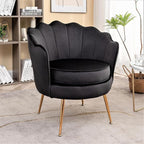 Velvet Barrel Accent Chair with Scalloped Silhouette and Gold Metal Legs, Decorative Piece Suitable for Traditional, Modern, and Contemporary Spaces, Black