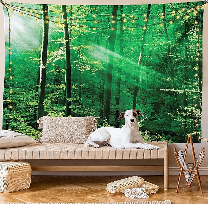 Ambesonne Forest Tapestry Twin Size, Sun Rays Bursting into the Forest Trees Foliage Misty Morning Serenity Picture, Wall Hanging Bedspread Bed Cover Wall Decor, 68" X 88", White and Green