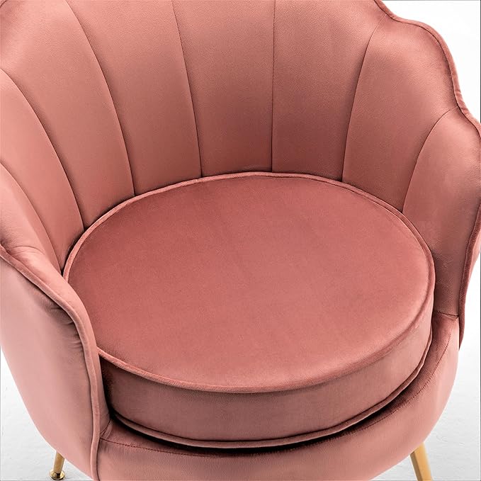 Velvet Barrel Accent Chair with Scalloped Silhouette and Gold Metal Legs, Decorative Piece Suitable for Traditional, Modern, and Contemporary Spaces, Rose