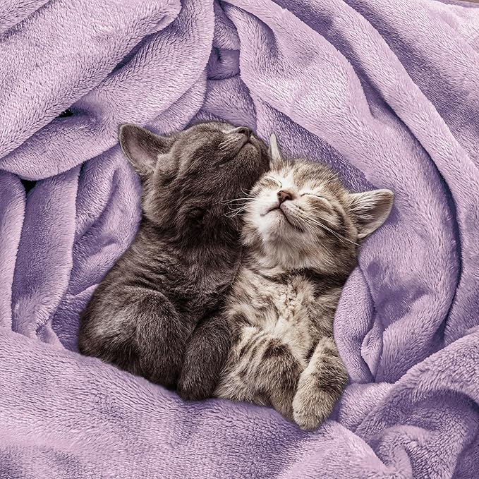 Utopia Bedding Fleece Blanket Queen Size Lilac 300GSM Luxury Fuzzy Soft Anti-Static Microfiber Bed Blanket (90x90 Inch)