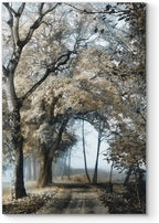 Renditions Gallery Canvas Nature Wall Art Modern Paintings & Prints Decor Romantic Secretive Forest Path Glam Artwork Wall Hanging for Bedroom Living Room Office Kitchen - 24"x36" LT06